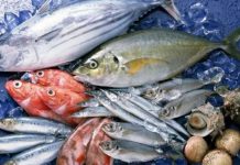 Iodine Trong Thủy Sản Có Những Điểm Gì Cần Lưu Ý? Iodine Trong Thuỷ Sản