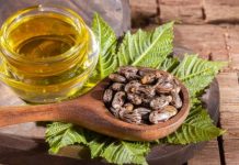 Castor Oil Là Gì? Những Công Dụng Chủ Yếu Trong Làm Đẹp