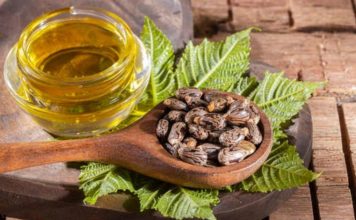 Castor Oil Là Gì? Những Công Dụng Chủ Yếu Trong Làm Đẹp
