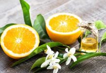 Hương Cam Là Gì ? Phân Loại Các Dạng Hương Hương Cam Là Gì