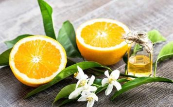 Hương Cam Là Gì ? Phân Loại Các Dạng Hương Hương Cam Là Gì