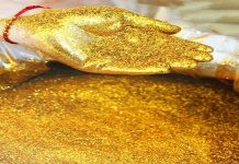 GIỚI THIỆU BỘT MÀU NHŨ VÀNG