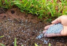 Diammonium Phosphate Và Những Kiến Thức Không Thể Bỏ Lỡ