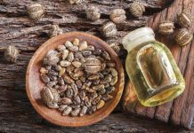 Mua Dầu Thầu Dầu Chất Lượng Ở Đâu Tại TP. Hồ Chí Minh? Mua Dầu Thầu Dầu