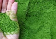 TÌM HIỂU BỘT MÀU XANH CHUỐI VÀ ỨNG DỤNG CỦA NÓ