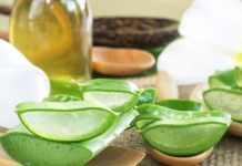 Công Dụng Của Tinh Dầu Nha Đam Trong Sức Khỏe Và Làm Đẹp Công Dụng Của Tinh Dầu Nha Đam