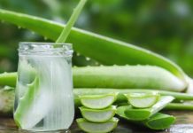 Tinh Mùi Nha Đam Chất Lượng Tại TPHCM Tinh Mùi Nha Đam