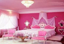 TỔNG QUAN VỀ BỘT MÀU THỰC PHẨM HỒNG SEN
