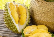 Tinh Mùi Sầu Riêng Chất Lượng Uy Tín Tại TPHCM Tinh Mùi Sầu Riêng