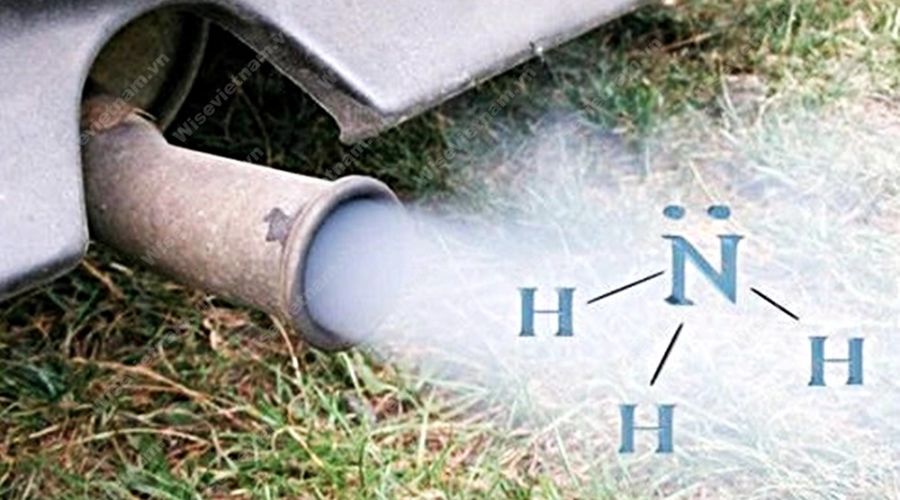 Amoniac Là Gì Giới Thiệu