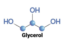 GLYCERINE LÀ GÌ ? TỔNG HỢP NHỮNG KIẾN THỨC VỀ GLYCERINE