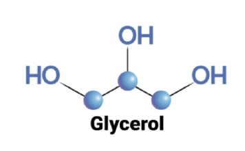GLYCERINE LÀ GÌ ? TỔNG HỢP NHỮNG KIẾN THỨC VỀ GLYCERINE