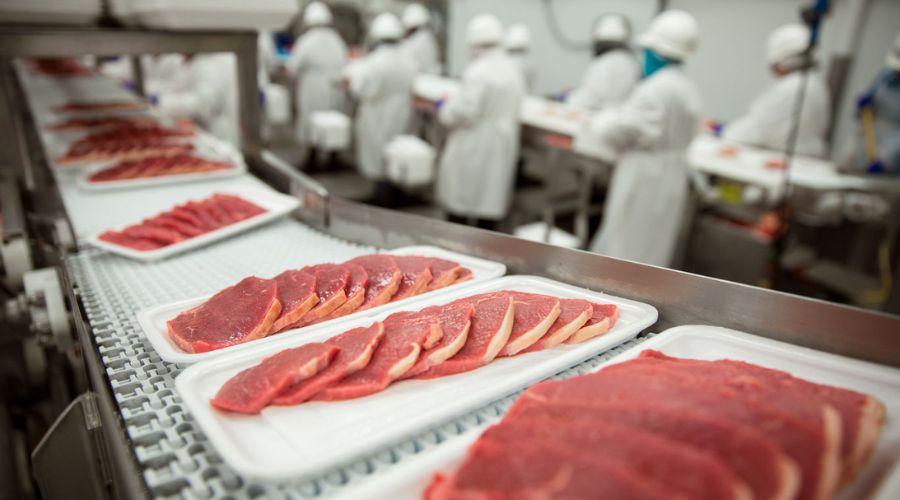 Ứng Dụng Trong Công Nghệ Thực Phẩm