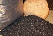 Than Hoạt Tính Lọc Nước: Ứng Dụng Và Những Lưu Ý Khi Sử Dụng Than Hoạt Tính Lọc Nước