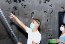 Khử Mùi Nhà Yến Mới Xây Bằng Phương Pháp Hiệu Quả 100%