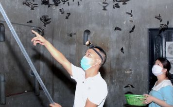 Khử Mùi Nhà Yến Mới Xây Bằng Phương Pháp Hiệu Quả 100%