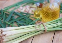 GIỚI THIỆU TỔNG QUAN TINH MÙI SẢ CHANH