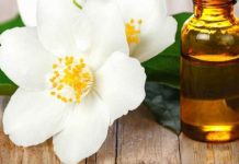 GIỚI THIỆU TINH MÙI HOA LÀI VÀ CÁC ỨNG DỤNG CỦA NÓ