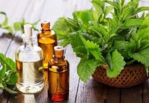 GIỚI THIỆU TINH MÙI BẠC HÀ VÀ CÁCH BẢO QUẢN CHÚNG