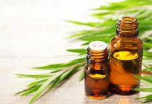 GIỚI THIỆU TINH MÙI DẦU TRÀM VÀ CÁC ỨNG DỤNG CỦA NÓ