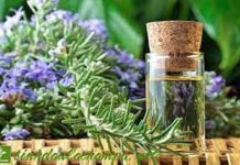 TINH MÙI HOA CỎ CÓ NHỮNG CÔNG DỤNG GÌ?