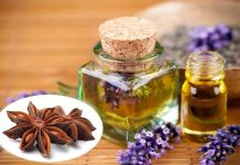 TINH MÙI HỒI LÀ GÌ? ỨNG DỤNG CỦA NÓ RA SAO?