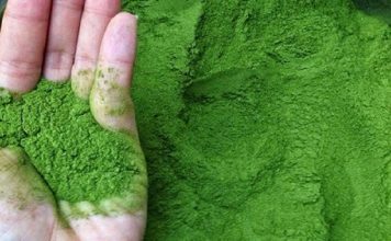 BỘT MÀU XANH CHUỐI CÓ NHỮNG ỨNG DỤNG GÌ?