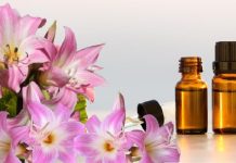 TÌM HIỂU TINH MÙI HOA LILY CÓ CÔNG DỤNG GÌ?
