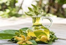 TÌM HIỂU TINH MÙI HOA NGỌC LAN LÀ GÌ?