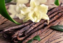 Hương Vanilla Là Gì ? Công Dụng Gì Trong Thực Phẩm Hương Vanilla