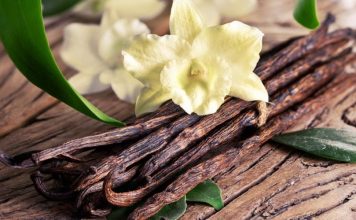Hương Vanilla Là Gì ? Công Dụng Gì Trong Thực Phẩm Hương Vanilla