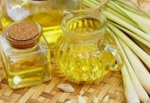 Công Dụng Của Tinh Dầu Sả Chanh Đời Sống Thường Ngày Công Dụng Của Tinh Dầu Sả Chanh