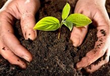 EDTA MN LÀ CHẤT GÌ CÓ ỨNG DỤNG RA SAO?