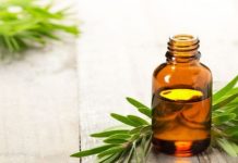Công Dụng Tinh Dầu Tràm Trong Đời Sống Công Dụng Tinh Dầu Tràm