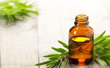 Công Dụng Tinh Dầu Tràm Trong Đời Sống Công Dụng Tinh Dầu Tràm