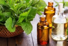 Hương Bạc Hà Có Tác Dụng Gì Trong Đời Sống Hằng Ngày Hương Bạc Hà Có Tác Dụng Gì