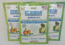 SOLUBOR LÀ HÓA CHẤT NHƯ THẾ NÀO? ỨNG DỤNG RA SAO?