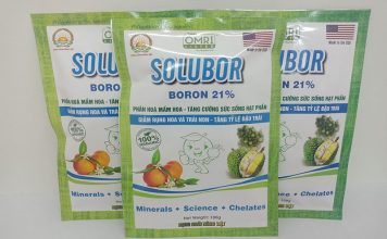 SOLUBOR LÀ HÓA CHẤT NHƯ THẾ NÀO? ỨNG DỤNG RA SAO?