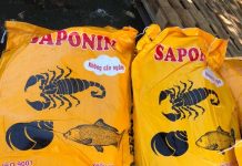 SAPONIN LÀ HÓA CHẤT NHƯ THẾ NÀO?