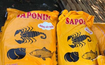 SAPONIN LÀ HÓA CHẤT NHƯ THẾ NÀO?