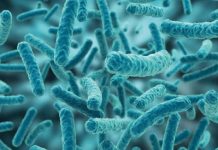 Acid Lactic Chất Lượng Giá Tốt Tại TPHCM Acid Lactic