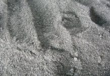 Bột Nhôm Uy Tín Chất Lượng Giá Tốt TPHCM Bột Nhôm